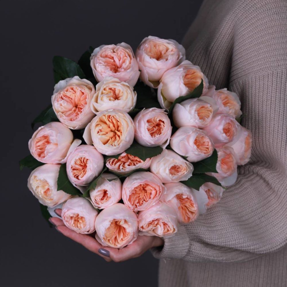 Монобукет пионовидные розы Juliet
