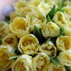 Монобукет из 25 тюльпанов Фото 3
