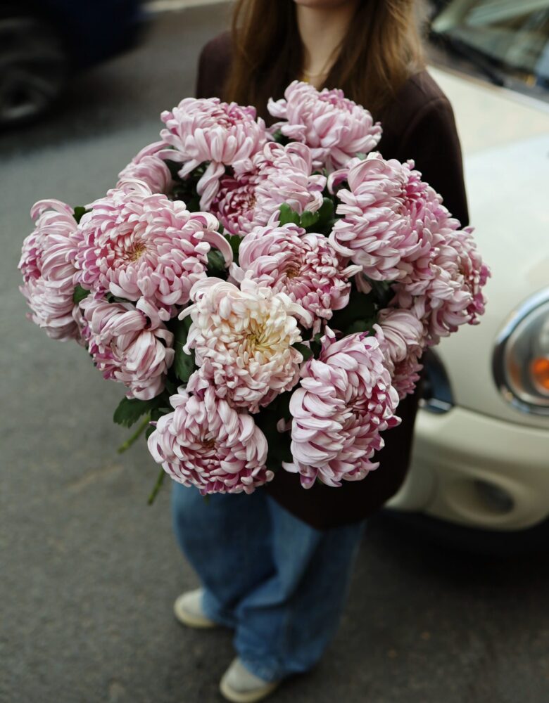 Хризантема Виена сиреневая