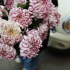 Хризантема Виена сиреневая Фото 3