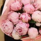 Букет из пионов сорта Sarah Bernhardt 15 шт Фото 4